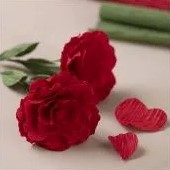 DIYkit Pakket Hobbyset Crêpepapier, Rozen schoencadeautje