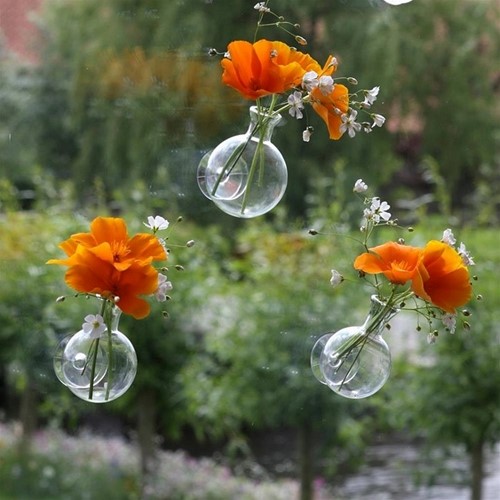Double Suction, Dubbele zuignap voor bolvaasjes / set 30 st zuignap doos