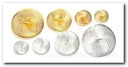 Draad Wielen Cirkels - Zilver 20 mm 1372-21 voor bloemschikken en bruidswerk