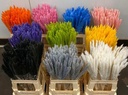 Dried Pampas Fluffy Pink Soft Roze 70 cm 