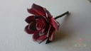 ECHEVERIA BURGUNDY Zijde- Latex Succulent 