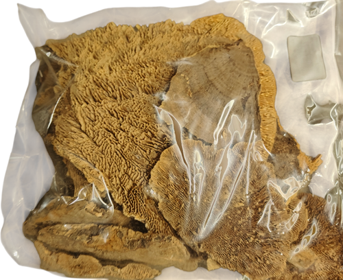 Elfenbankje zak 250 gr Natuurlijk bloemschikmateriaal