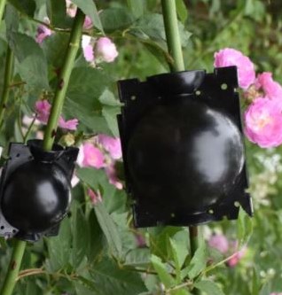 Ent, stek en bewortelbol per 5 stuks vermeerderingsbollen S 5 cm voor houtige gewassen
