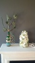Exotic stripe bundel groen foamblad
