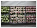 foam roos Elegant 5 cm cremeGroen / st foamroos