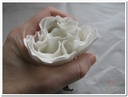 foam Rose Sophie 15cm snow White Doos12 voordeelpak