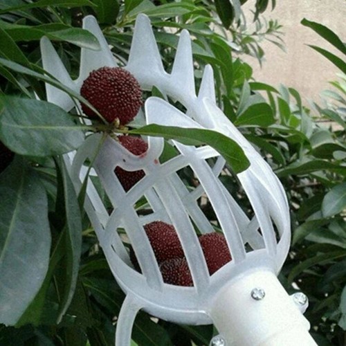 Fruitplukker wit Kleiner zonder steel
