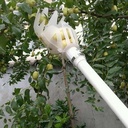Fruitplukker wit Kleiner zonder steel