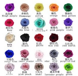 Geconserveerde rozen Sweet Powder Poederroze Doos 8 Geprepareerd