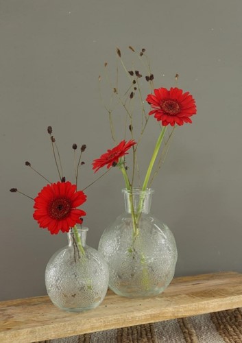 Gekleurd glazen flesje Bologna vaasje,kandelaar Clear  / stuk 12 cm hoog Ø 9.5cm