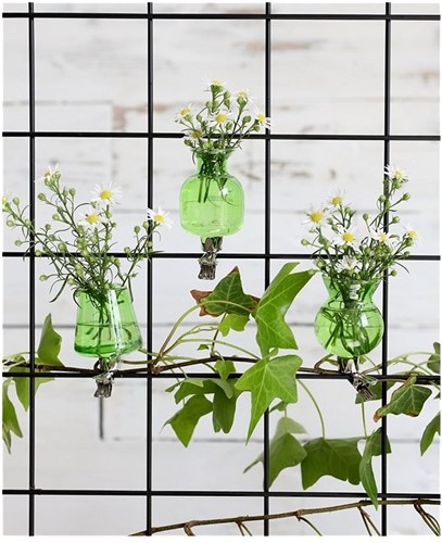 Gekleurd glazen flesje Clipper Groen  Set van 3 flesje met clip