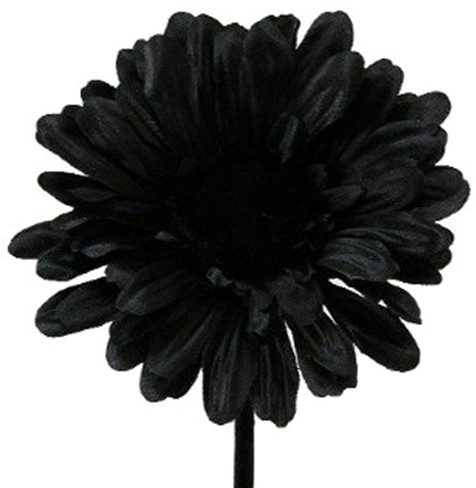 Gerbera 54 cm Black, Zwart zijde bloemen / st