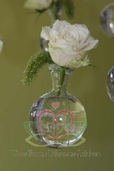 Glas Bolvaasjes 5 cm DOOS 50+3 stuks om te hangen