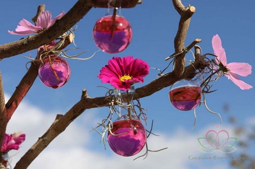 Glas Bolvaasjes 5, 7 cm DOOS 36+3 stuks om te hangen