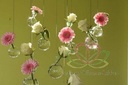Glas Bolvaasjes 5, 7 cm DOOS 36+3 stuks om te hangen
