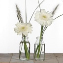Glas vaas Flesje Glas voor schelpen 10, 4*4, 8cm Glas voor schelpen