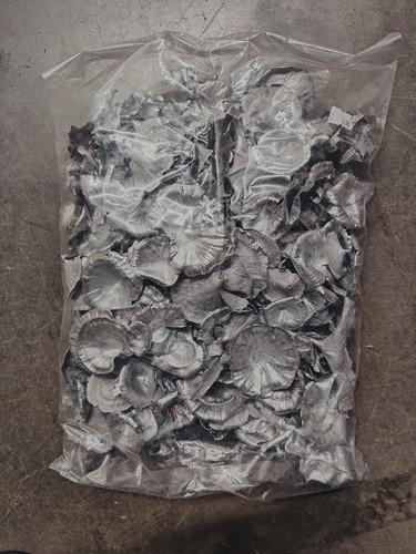 Golden Mushroom Zilver 250 gram Paddenstoel