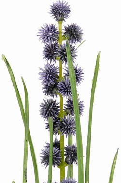 Grasbundel BLAUW bloeiend 50 cm /bundel zijde bloemen