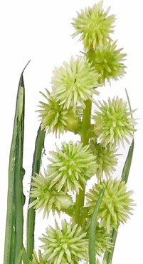 Grasbundel GROEN bloeiend 50 cm /bundel zijde bloemen