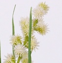 Grasbundel WIT bloeiend 50 cm /bundel zijde bloemen