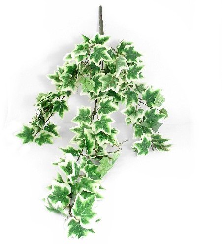 Hanger vuller Hedera bont FLOCKED IVY Groenehangplanten