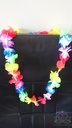 Hawaislinger Low Budget Kinderfeestje 