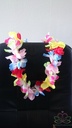 Hawaislinger Low Budget Kinderfeestje 