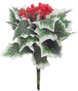 Hulst BONTBLAD met besjes Holly and berry doos ca. 144 