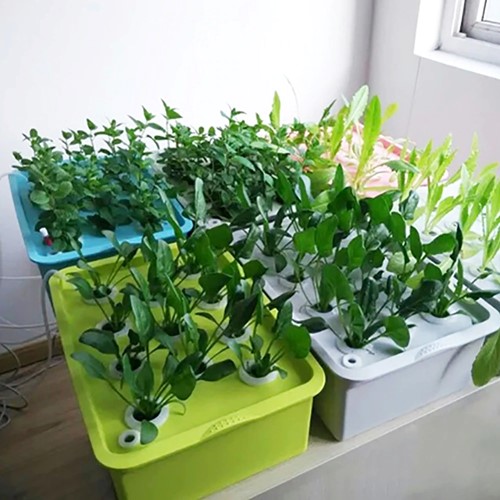 Hydrocultuur Kit GRIJS, Propagator 24 gaten,met pomp 220V  Grijze uitvoering stekken en zaaien op water
