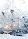 IJspen Ice-Pen 