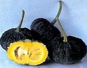 Beung Karn / Bungkan 021 F1 moschata basiseenheid