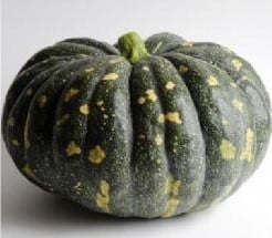 Moschata Bliss F1 pompoen zaden