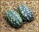 Torino Citrullus Lanatus Pompoen zaden