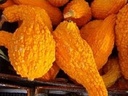 Yellow Crookneck summersquash 1000 zaden