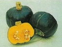 Buttercup pompoen 50 zaden