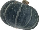 Dolcevera F1 / Ebisu F1 kabocha pompoen basiseenheid