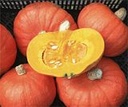 Tractor Hokkaido Bio Pompoen 1000 zaden