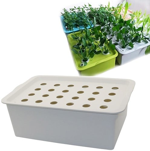 Hydrocultuur Kit Propagator 24 gaten Zonder pomp