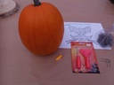 Pompoen uitsnijsetje setje om pompoenzaden uit te snijden carvingkit