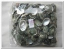Haliotis Pulcherrima schelpjes 1 kilo