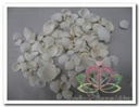 White Cay Cay Kleine Witte Schelpjes 200 gram