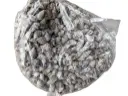 Nassa Pussata schelpen 1 kilo