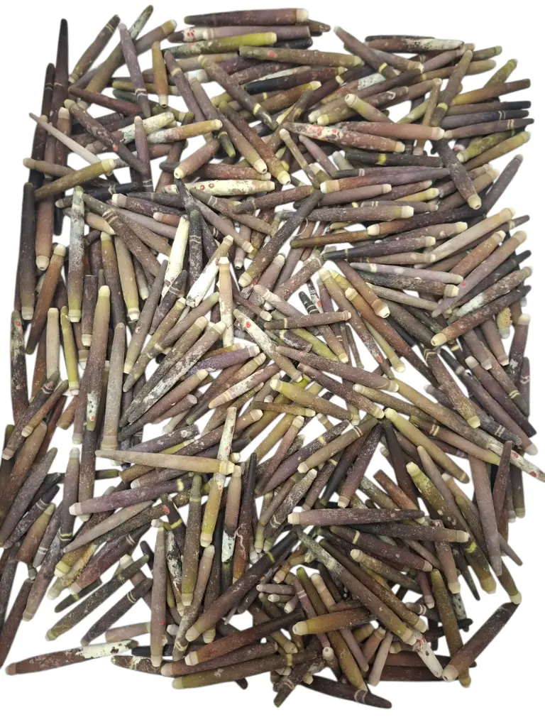 Zeeegel Pennen 1 kilo