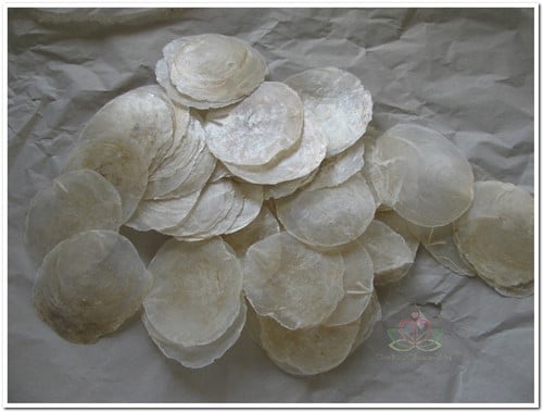 Capiz Camar schelpen 500 gram