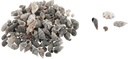 Schelpenmix Middenmaat Small 500 gram