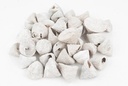 Troca Stellatus Schelpen Whitewash 1 kilo