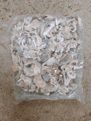 Oesterschelpen Stukjes 1 kilo