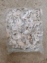 Oesterschelpen Stukjes 1 kilo
