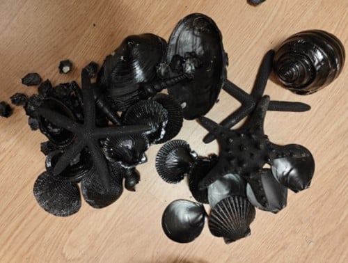 Zwarte Schelpen en Zeesterren Mix in Mand 25 cm
