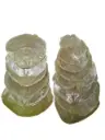 Capiz Camar schelpen Lichtgroen 250 gram